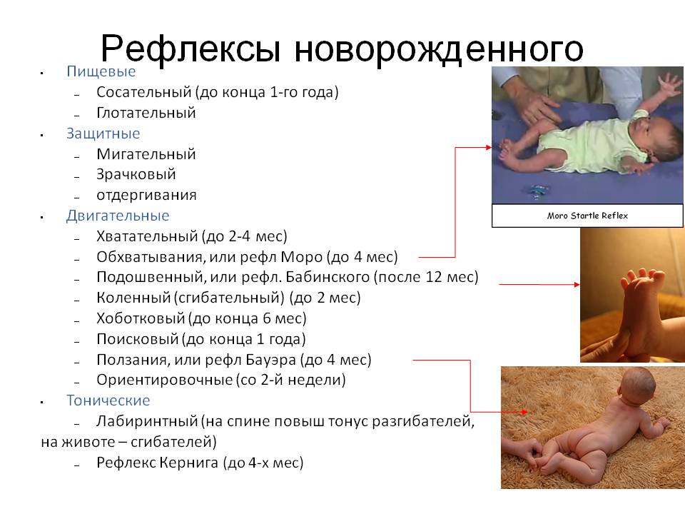 15 главных рефлексов новорожденного: как их проверить - parents.ru