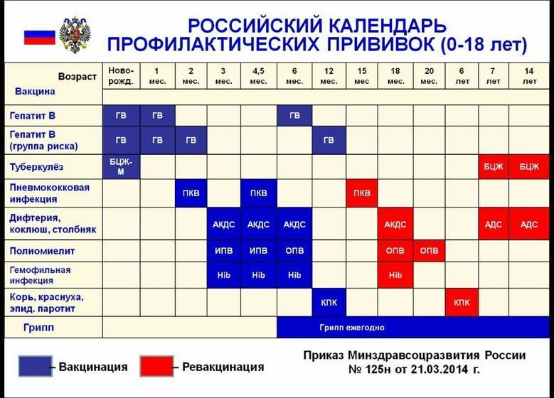 Вакцинации акдс вакциной. График прививок для детей до года в России таблица 2021. Календарь прививок для детей 2021 в России таблица. Календарь прививок 2021 для детей до года в России таблица. Национальный календарь прививок РФ 2021.