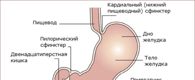 Рефлюкс (рвота и срыгивание) у грудничков: что делать?
