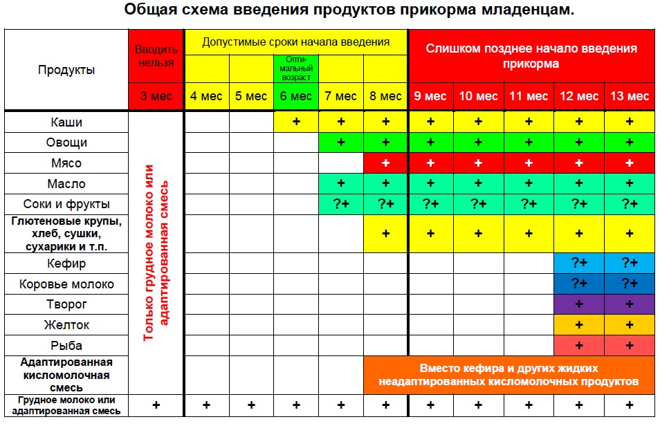 Схема введения прикорма в 4 месяца