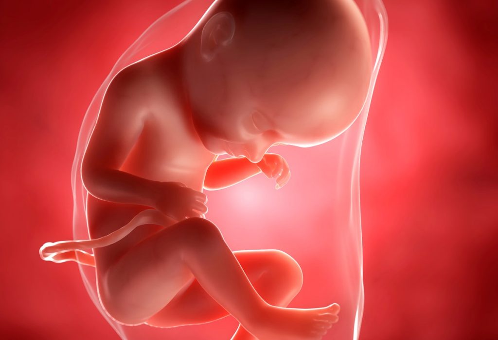 Срок беременности 33 недели — плод, вес, выделения, живот, роды, узи