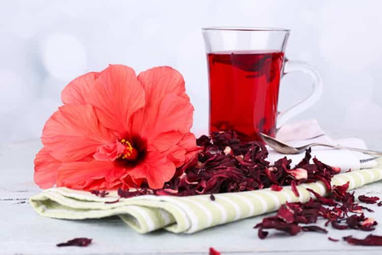 Можно ли беременным чай каркаде: польза и вред, рекомендации
