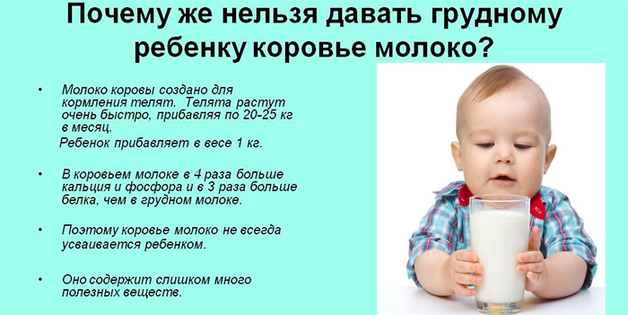 Сухим молоком буренка можно кормить грудничка ~ детская городская поликлиника №1 г. магнитогорска