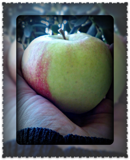 Сушеные яблоки при грудном вскармливании: можно ли есть кормящей маме, почему во время гв сухой продукт полезнее свежего, как употреблять, что приготовить?
