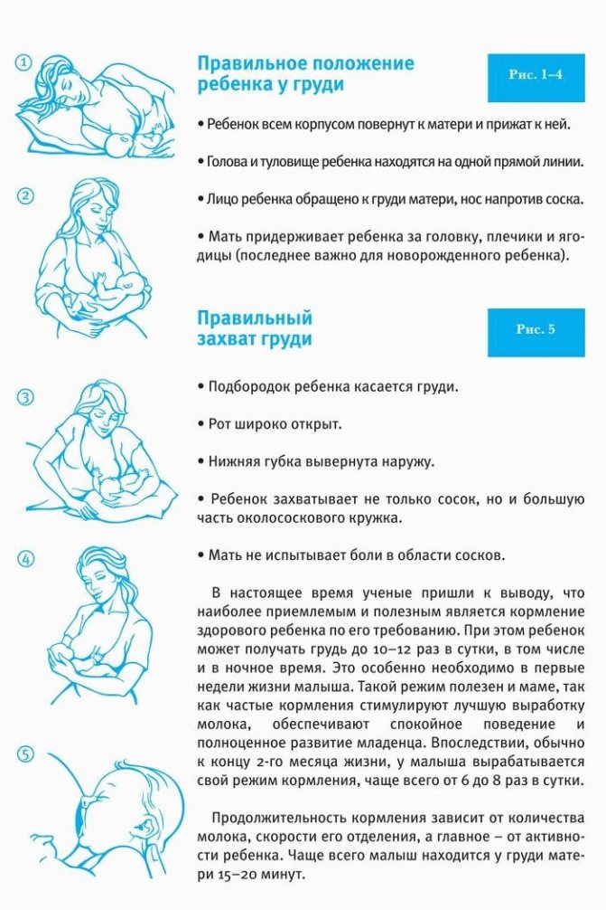 Правильное прикладывание к груди: техника, советы, фото и видео
