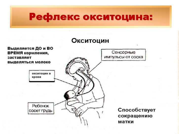 Гиперпролактинемия