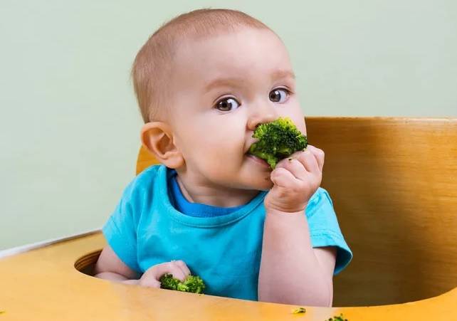 Как приготовить брокколи для первого прикорма малыша