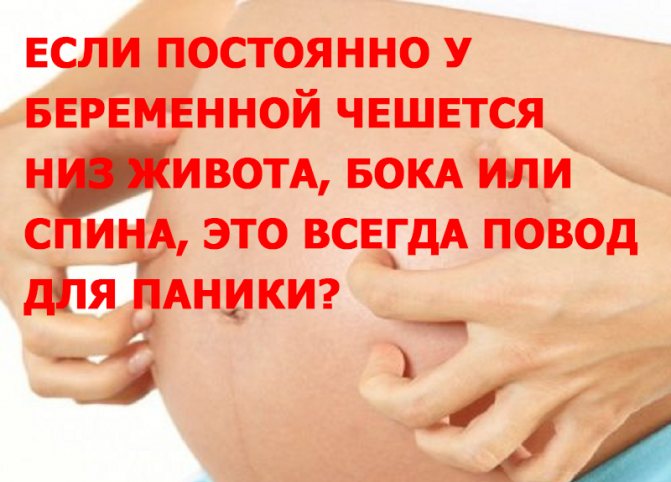 Сыпь на теле у беременной