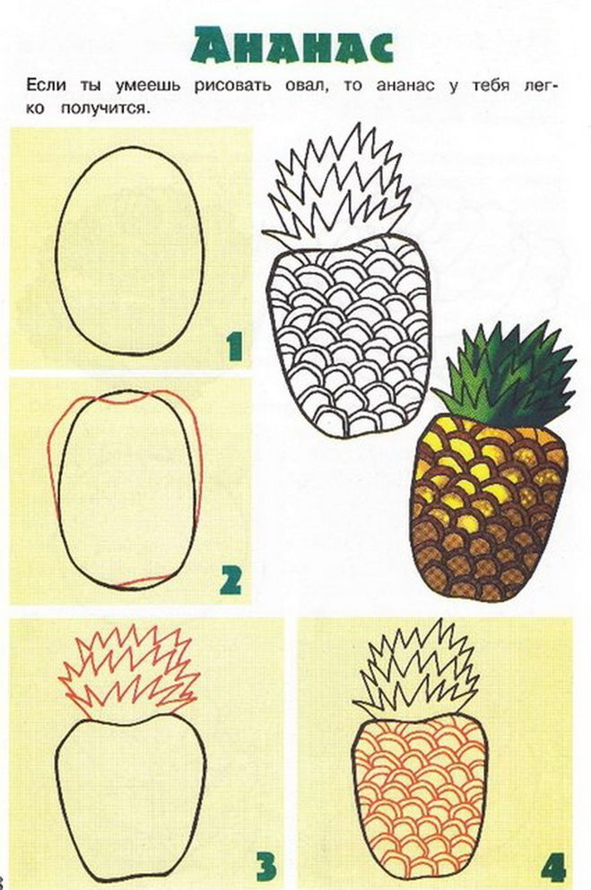 Рисуем фрукты и овощи поэтапно