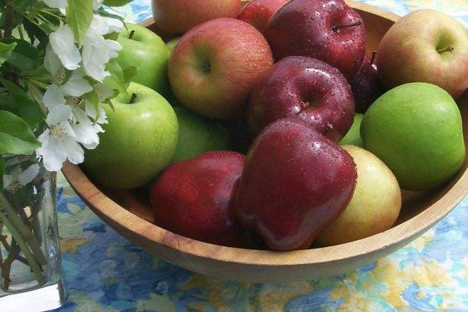 Яблоки при грудном вскармливании: зеленые, красные, запеченые