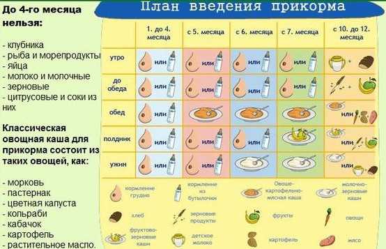 Начало прикорма. как и какой выбрать? | parent-portal.ru