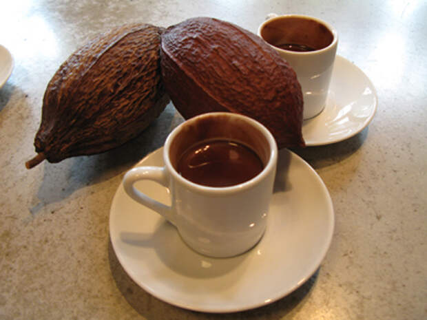 Пьём какао с пользой для здоровья: на молоке и воде, с чем лучше употреблять и в какое время дня