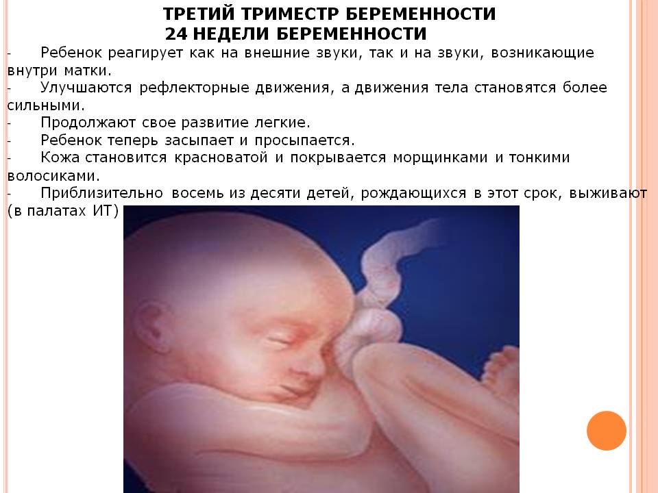 22 неделя беременности: что происходит с малышом и мамой, как часто должен шевелиться ребенок, развитие плода, вес и рост — медицинский женский центр в москве