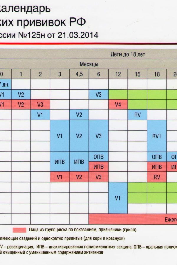 Прививки новорожденного по месяцам до года. В год прививки детям таблица России. Календарь прививок для детей до 1 года в России таблица. Календарь прививок для детей в России 2022. Календарь прививок для детей до 3 лет в России таблица.