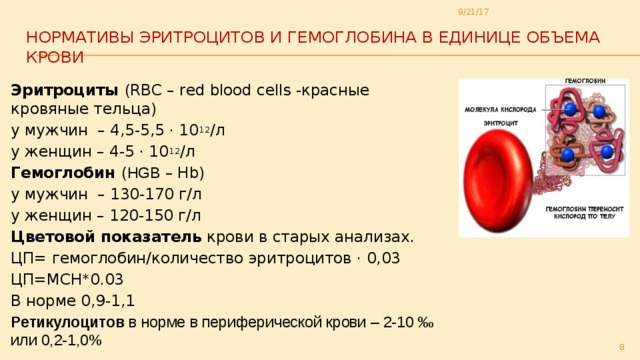 Общий анализ крови: полная расшифровка | медицинский центр ваше здоровье
