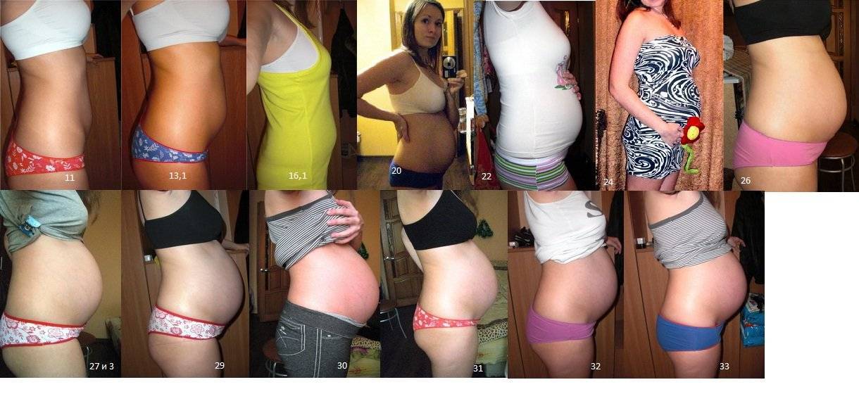 Когда при беременности начинает расти живот и влияющие факторы, таблицы нормы
