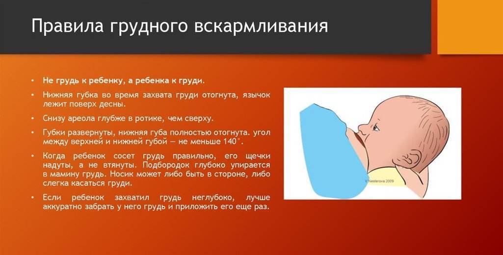 Как правильно кормить грудью новорожденного ребенка сидя, лежа и стоя / mama66.ru