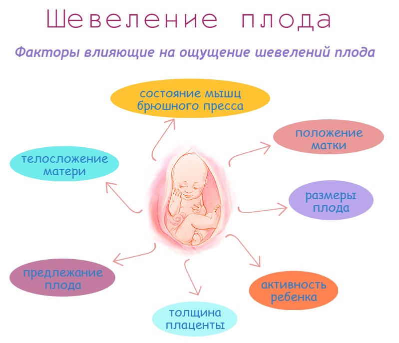 ➤ 27 неделя беременности всё что нужно знать будущей маме