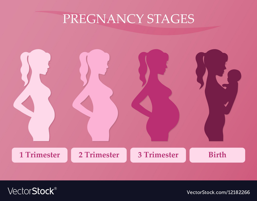 Особенности третьего триместра беременности: питание, образ жизни и болезни