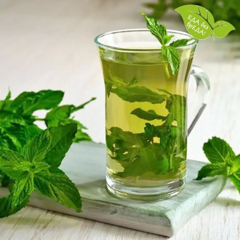 Мята перечная (Mentha piperita). Мята и зеленый чай. Настой мяты. Мятный чай. Пить мяту мужчинам