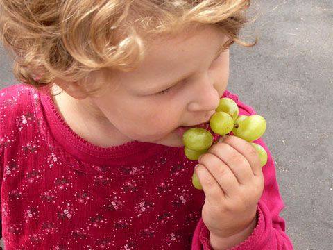 С какого возраста можно давать ребенку виноград, его польза и вред