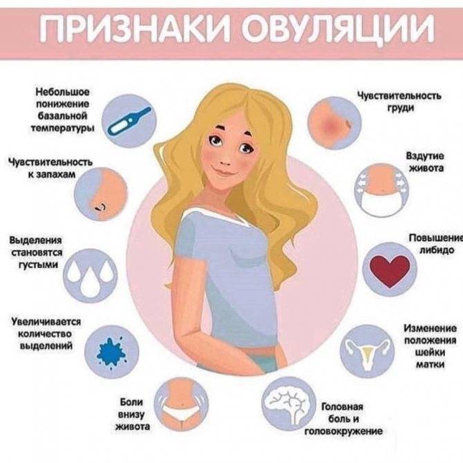 3 неделя беременности: признаки, ощущения, узи на 3 неделе беременности