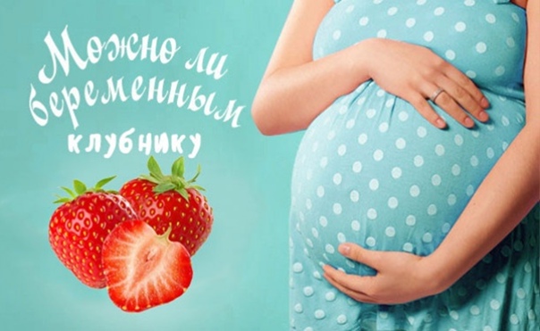 Клубника при беременности: можно ли, польза и вред для беременных