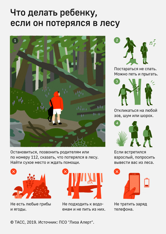 Безопасность детей летом: что делать, чтобы ребенок не потерялся на даче или в лесу? безопасный детский отдых - памятка для родителей