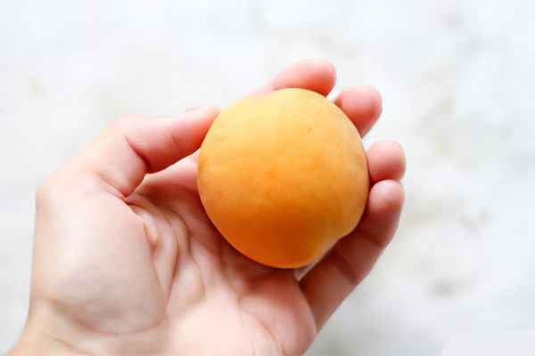 Зимостойкие и морозостойкие сорта абрикосов: описание сортов восторг, голдрич и многих других