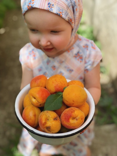 Абрикосы крепят или слабят? с какого возраста можно абрикосы детям? 
не будет ли проблем... - еда и кулинария - вопросы и ответы