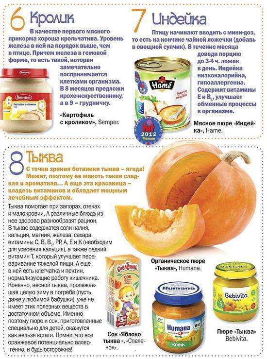 Прикорм тыква - энциклопедия детское питание