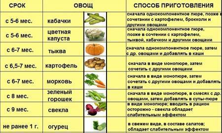 С какого возраста можно давать ребенку свеклу: со скольки месяцев, когда и как вводить прикорм до года, чем полезен сырой и вареный овощ для грудничков? русский фермер