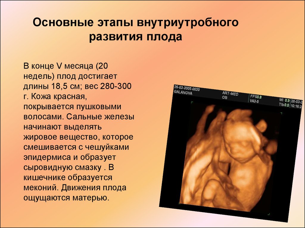 Шевеления плода во время беременности: что означают и как считать? первые шевеления плода и нормы шевелений ребенка по неделям беременности