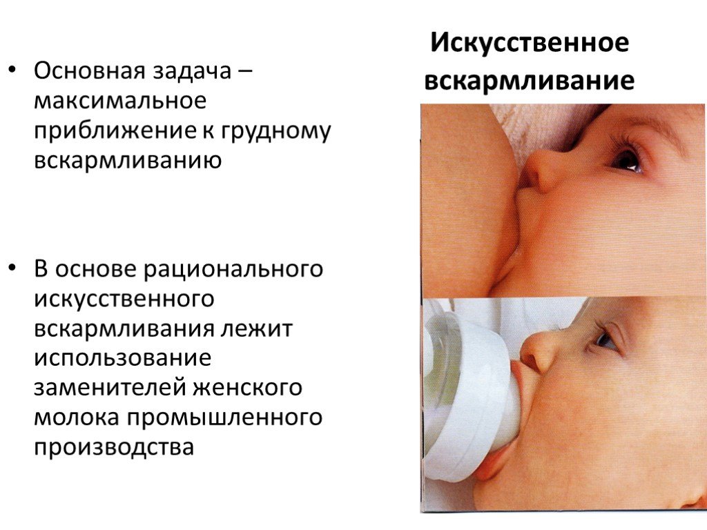 Правила кормления грудью - новорожденный  - каталог статей -