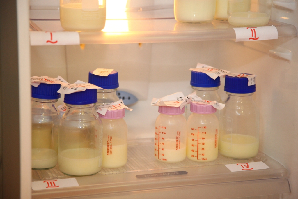 Важно знать! сколько хранится грудное молоко в холодильнике и при комнатной температуре