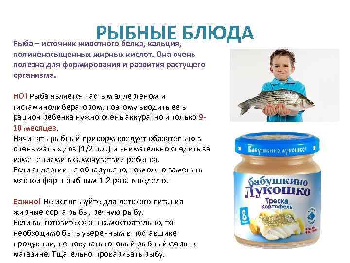 Можно ли давать детям рыбу. Ввод рыбы в прикорм для детей. Рыба для детей 1 года. Введение рыбы в прикорм. Рыба в прикорм ребенку.