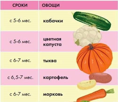 Какую роль морковь играет в питании и прикорме ребёнка? - для мам