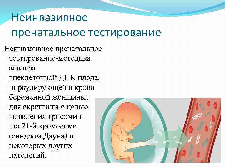 Пренатальная психология