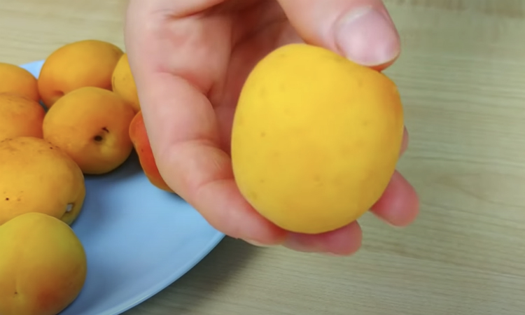 С какого возраста детям можно давать абрикосы в виде пюре, целиком или добавляя в кашу?