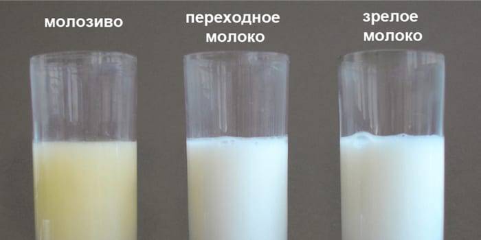 Прилив молока — когда приходит, причины отсутствия и как ускорить?