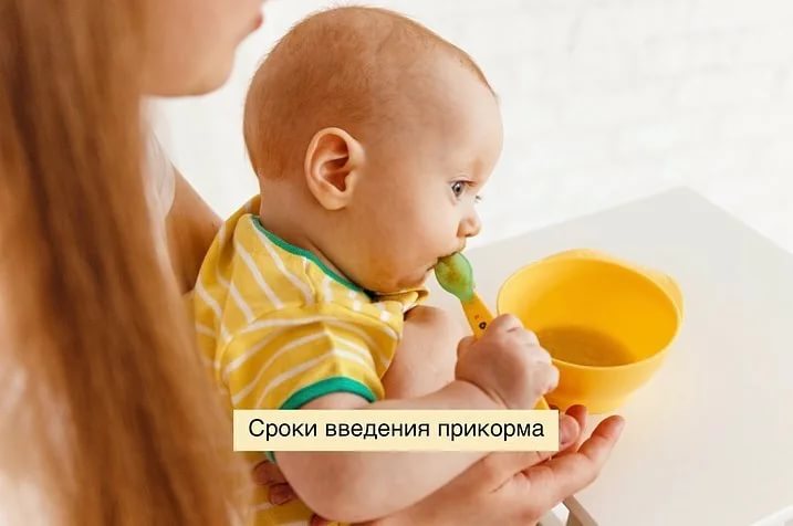 Какое растительное масло лучше для прикорма грудничка и когда (со скольки месяцев) можно вводить масло в рацион ребенка • твоя семья - информационный семейный портал