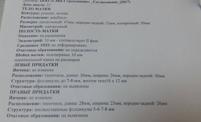 Желтое тело при беременности: размеры по неделям и когда появляется