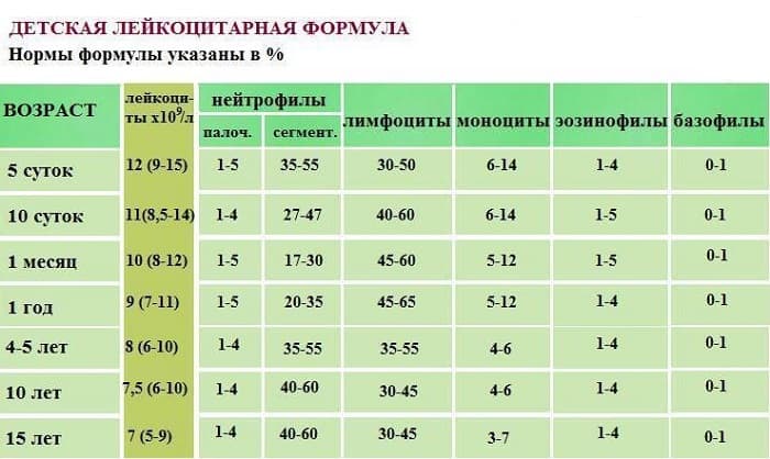 Что такое нейтрофилы в анализе крови у новорожденного