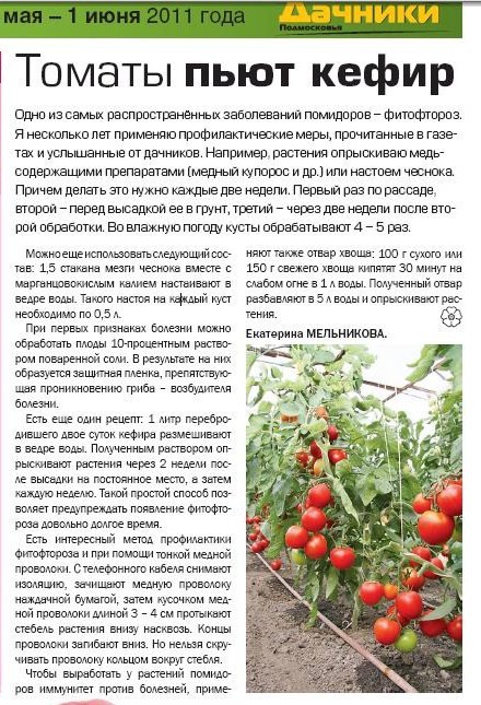 Помидор: польза и вред томата, возраст введения в рацион, секреты выбора овоща и вкусные рецепты приготовления