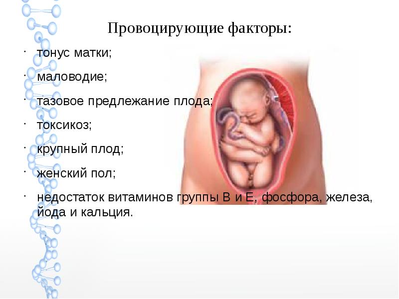 Узи во время беременности