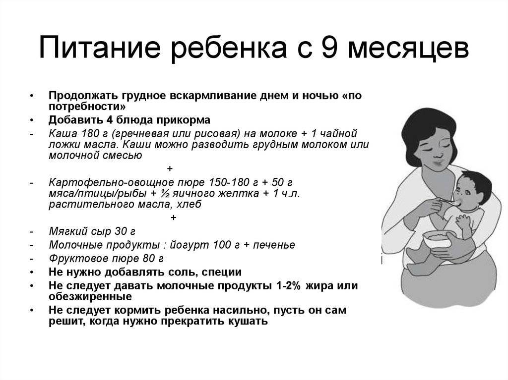 Доктор комаровский о меню ребенка в 10-12 месяцев