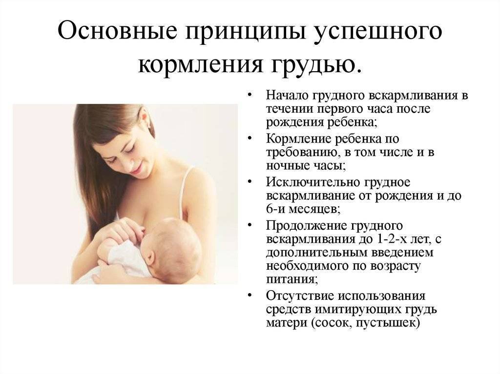 Как завершить грудное вскармливание - правильное завершение грудного вскармливания - agulife.ru