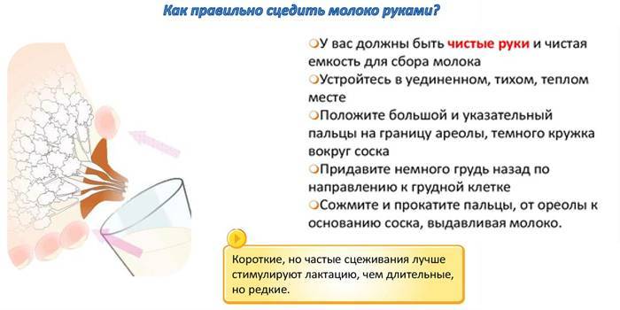 Нужно ли сцеживать молоко после грудного кормления?