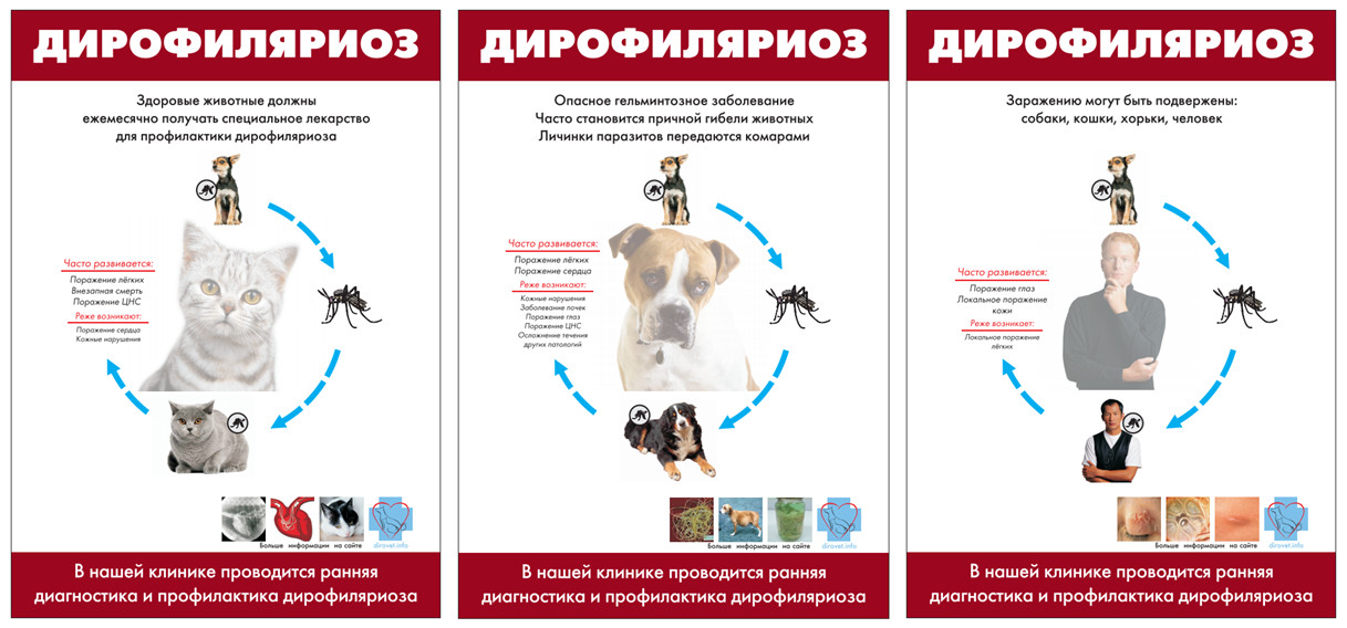 Как лечить комариные укусы у детей