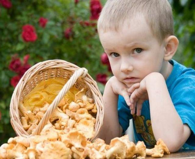 В каком возрасте можно давать грибной суп ребенку